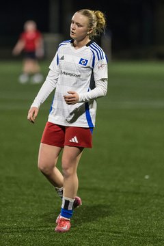 Bild 403 - wBJ Hamburger SV - Eimsbuettler TV 2 : Ergebnis: 16:0